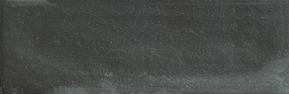 Aruba Coal Matt 2x6 | Clon Digital Tile Catalog