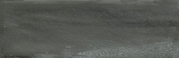 Aruba Coal Matt 2x6 | Clon Digital Tile Catalog