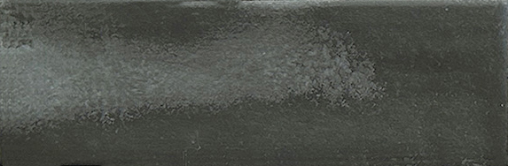Aruba Coal Matt 2x6 | Clon Digital Tile Catalog