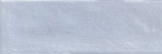 Aruba Lavender Matt 2x6 | Clon Digital Tile Catalog