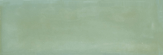 Aruba Moss Gloss 2x6 | Clon Digital Tile Catalog