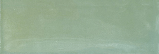 Aruba Moss Gloss 2x6 | Clon Digital Tile Catalog