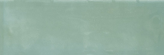 Aruba Moss Gloss 2x6 | Clon Digital Tile Catalog