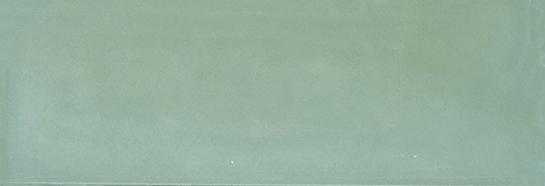 Aruba Moss Gloss 2x6 | Clon Digital Tile Catalog