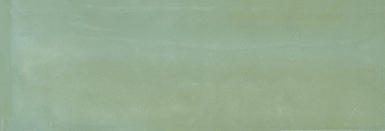 Aruba Moss Gloss 2x6 | Clon Digital Tile Catalog