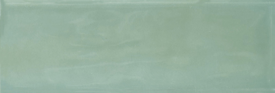 Aruba Moss Gloss 2x6 | Clon Digital Tile Catalog