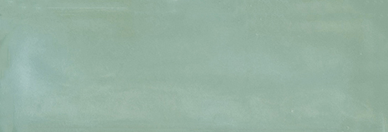 Aruba Moss Gloss 2x6 | Clon Digital Tile Catalog