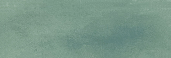 Aruba Moss Matt 2x6 | Clon Digital Tile Catalog