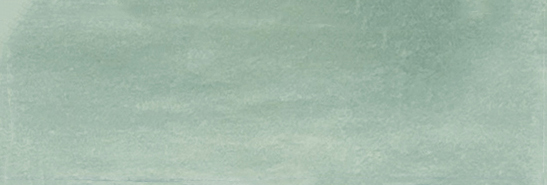 Aruba Moss Matt 2x6 | Clon Digital Tile Catalog