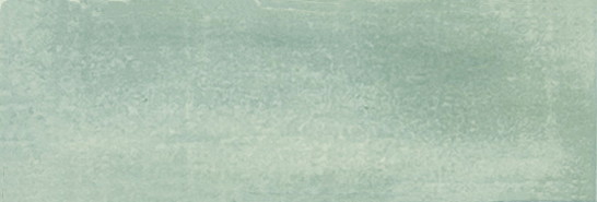 Aruba Moss Matt 2x6 | Clon Digital Tile Catalog