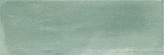 Aruba Moss Matt 2x6 | Clon Digital Tile Catalog