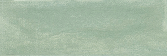 Aruba Moss Matt 2x6 | Clon Digital Tile Catalog