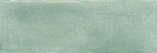 Aruba Moss Matt 2x6 | Clon Digital Tile Catalog