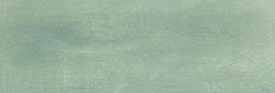 Aruba Moss Matt 2x6 | Clon Digital Tile Catalog