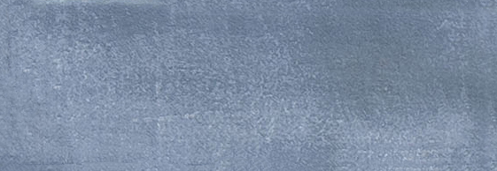 Aruba Night Blue Matt 2x6 | Clon Digital Tile Catalog