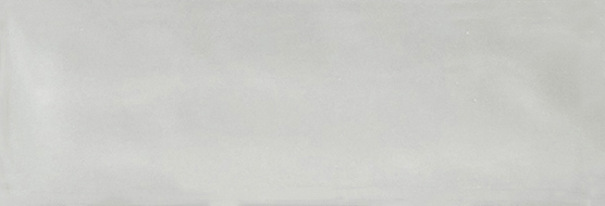 Aruba Silver Gloss 2x6 | Clon Digital Tile Catalog