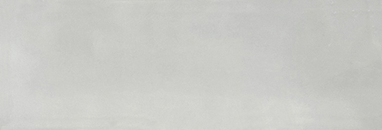 Aruba Silver Gloss 2x6 | Clon Digital Tile Catalog