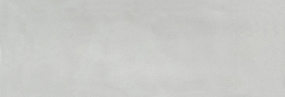 Aruba Silver Gloss 2x6 | Clon Digital Tile Catalog