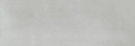 Aruba Silver Gloss 2x6 | Clon Digital Tile Catalog