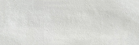 Aruba Silver Matt 2x6 | Clon Digital Tile Catalog