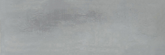 Aruba Steel Gloss 2x6 | Clon Digital Tile Catalog