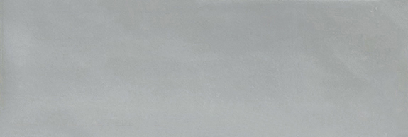 Aruba Steel Gloss 2x6 | Clon Digital Tile Catalog