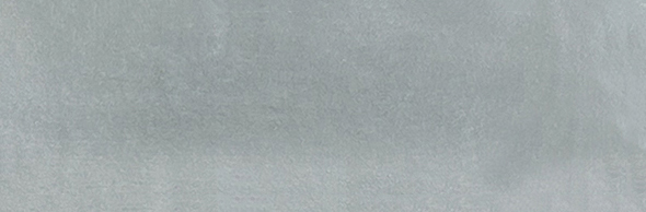 Aruba Steel Matt 2x6 | Clon Digital Tile Catalog