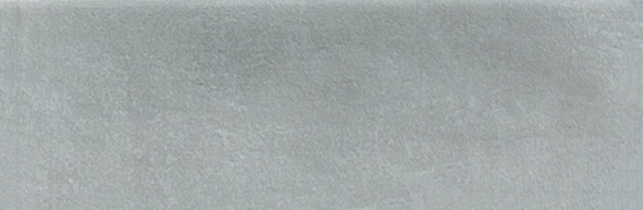 Aruba Steel Matt 2x6 | Clon Digital Tile Catalog