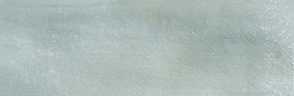 Aruba Tea Matt 2x6 | Clon Digital Tile Catalog