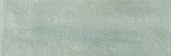 Aruba Tea Matt 2x6 | Clon Digital Tile Catalog