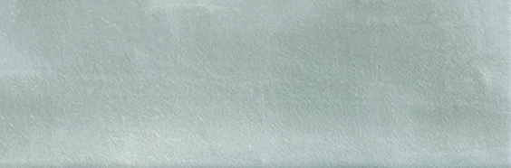 Aruba Tea Matt 2x6 | Clon Digital Tile Catalog