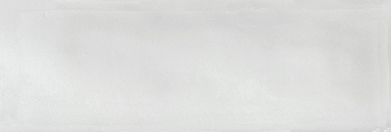 Aruba White Gloss 2x6 | Clon Digital Tile Catalog