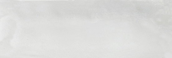 Aruba White Gloss 2x6 | Clon Digital Tile Catalog