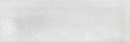 Aruba White Gloss 2x6 | Clon Digital Tile Catalog