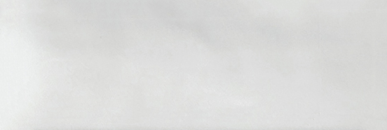 Aruba White Gloss 2x6 | Clon Digital Tile Catalog