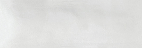 Aruba White Gloss 2x6 | Clon Digital Tile Catalog