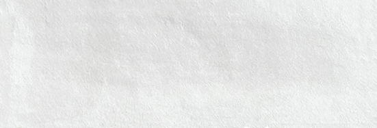 Aruba White Matt 2x6 | Clon Digital Tile Catalog