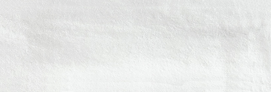 Aruba White Matt 2x6 | Clon Digital Tile Catalog