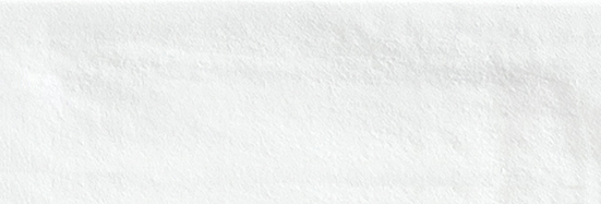 Aruba White Matt 2x6 | Clon Digital Tile Catalog