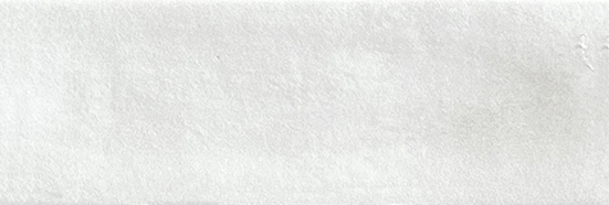 Aruba White Matt 2x6 | Clon Digital Tile Catalog