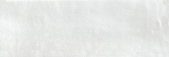 Aruba White Matt 2x6 | Clon Digital Tile Catalog