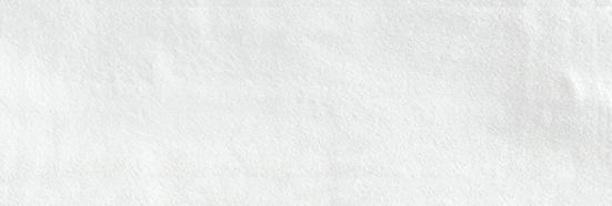 Aruba White Matt 2x6 | Clon Digital Tile Catalog