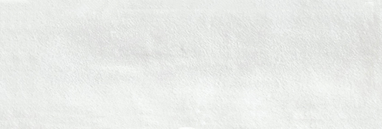 Aruba White Matt 2x6 | Clon Digital Tile Catalog