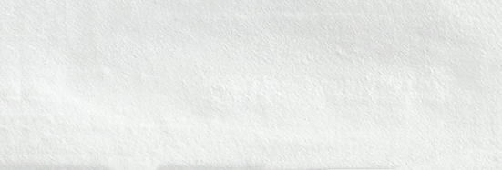 Aruba White Matt 2x6 | Clon Digital Tile Catalog