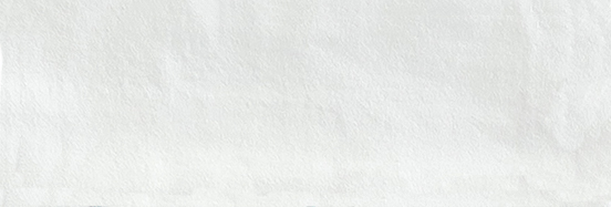 Aruba White Matt 2x6 | Clon Digital Tile Catalog