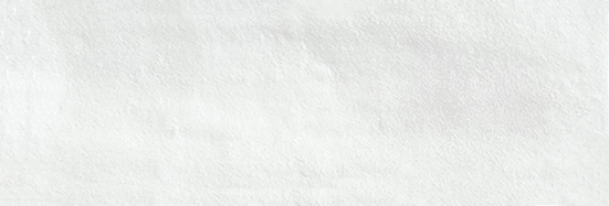 Aruba White Matt 2x6 | Clon Digital Tile Catalog