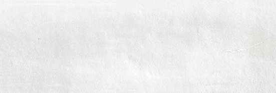 Aruba White Matt 2x6 | Clon Digital Tile Catalog