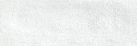 Aruba White Matt 2x6 | Clon Digital Tile Catalog