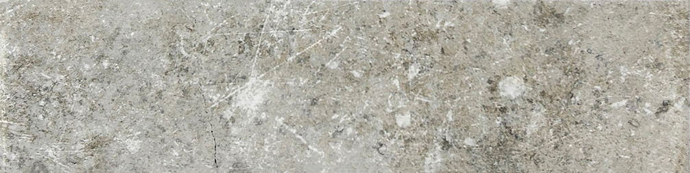 Belize Mix 3x11 | Clon Digital Tile Catalog