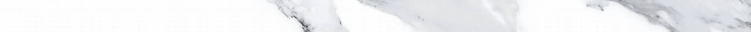 Carrara 0.39X9” Carrara Trim | Clon Digital Tile Catalog